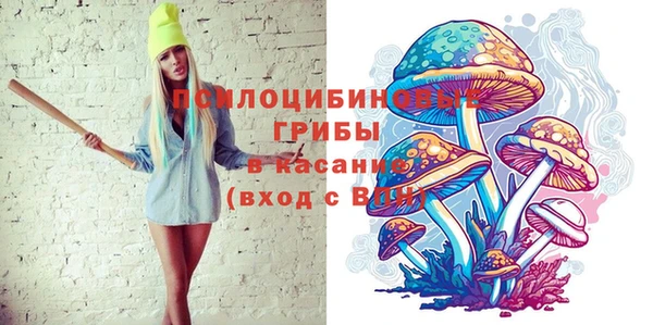 СК Гусь-Хрустальный