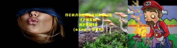 СК Гусь-Хрустальный