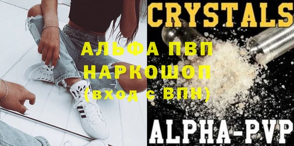 СК Гусь-Хрустальный