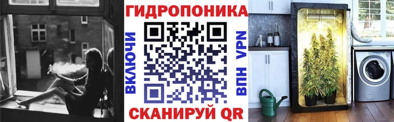 Бошки марихуана MAZAR  Купить где  Красноармейск 